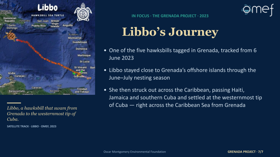 Copy of OMEFTimeline&FuturePlans'25'.pptx (10)