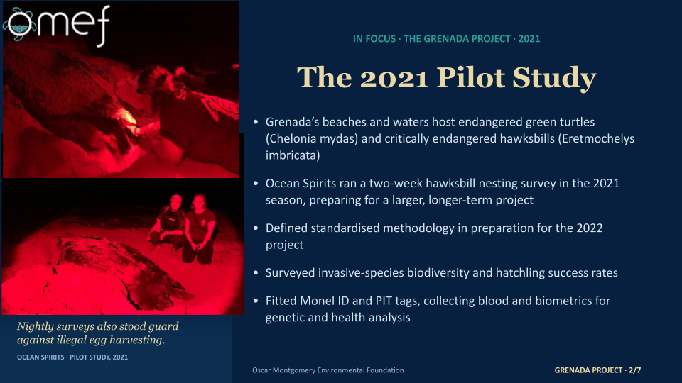 Copy of OMEFTimeline&FuturePlans'25'.pptx (5)