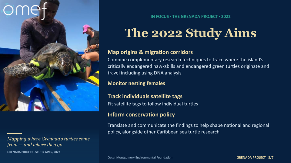 Copy of OMEFTimeline&FuturePlans'25'.pptx (6)