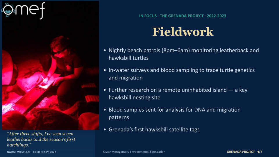 Copy of OMEFTimeline&FuturePlans'25'.pptx (7)