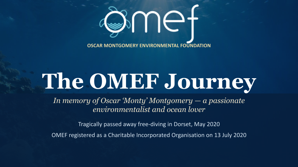 Copy of OMEFTimeline&FuturePlans'25'.pptx